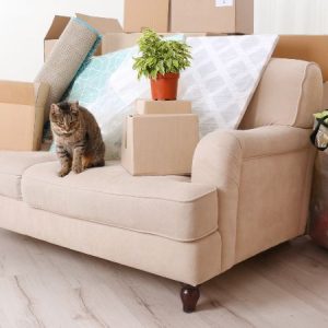 Natural Bamboo Floor Lamp