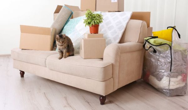 Natural Bamboo Floor Lamp